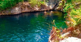 La Cueva de los Peces, un universo sumergido